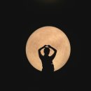 스타필드] 평택 안성 실내 데이트 및 아이와 가볼 만한 곳 미디어아트 전시회 솔직 후기_ 글로우 사파리