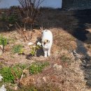 우체국길 이미지