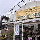 알부스토식물가게 - 서구 새오개로111번안길 32 | 가정동 알부스토식물가게에서 초록이 쇼핑 제대로!