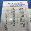 안비양 | 우도 당일치기 가족여행 🏝️ | 우도짜장멘, 비양카페, 우도땅콩아이스크림🍦 | 토끼차 후기 🐰😭