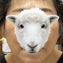 미셸아르떼 | 동래 두피관리 추천 - 머리를 만졌는데 얼굴이 변한다고? 미셸아르떼