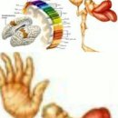 지도 바깥 이미지