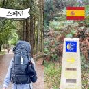 성지자원 | 산티아고 순례길 비용 스페인 성당 성지순례 뜻 신발 팔레스더레이 후기