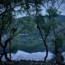 일렁이는 이미지