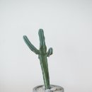 용신60 이미지