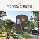 향로산 자연휴양림 수영장 | 아이와 무주 여행, 무주 향로산 자연휴양림 방문 후기 (내돈내산)