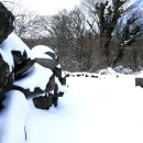 교래자연휴양림야영장 이미지