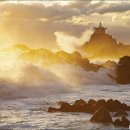 송학초교 이미지