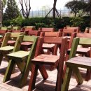 금호초교 이미지