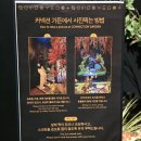 히딩크드림필드화장실 | 아이와 함께 가기 좋은 안성 스타필드 글로우 사파리 실내 미디어 테마파크