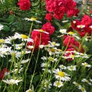 참소아청소년과의원 이미지