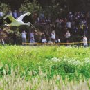 예산황새공원 주차장 티스토리