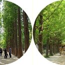 로타리전업사