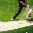 그린로프트 이미지