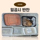 일곱 | 반찬배달'일곱시반찬'후기