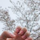 네일하일리 네이버블로그