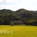 임립미술관 이미지