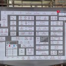 돌고래시장 이미지