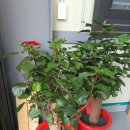 (주)누리팜 이미지