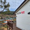 안단테펜션 | 봄꽃에 취하러 갔다가 마음까지 채우고 온 청산도안단테펜션 이야기