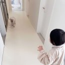 층간소음해결방법 소리 안나는 매트 시공 후기
