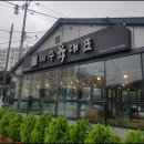 제주육대표