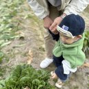 희민농장 이미지