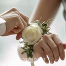 제주미니호텔 이미지