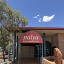 큰에덴농장 | Northern Territory 카타 추타 Kata Tjuṯa 킹스 캐년 Kings Canyon 노지 캠핑 3박4일 후기 마이리얼트립