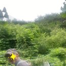 주라울 이미지