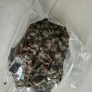 하츠(HAZ) | [롯데본점] 하츠베이커리 HAZ 내돈내산 솔직후기