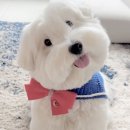 족발하우스 - 중구 화랑목로 50-6 | 족발하우스