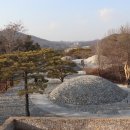 운채소고기세번째이야기 이미지