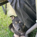 광주TNR동물병원(초월) 이미지