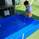 청도군-2 | ​[대구 근교 청도] 아이랑 당일치기! '플레이청도' 바베큐 피크닉 완벽 후기