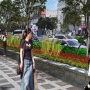 제주시 연동주민센터 이미지