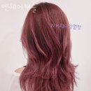 엔헤어캐슬 | 안산 사동 미용실 엔헤어캐슬 업체 정보 후기