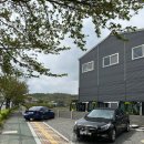 르당 | 대구 논공 카페 아늑한 애견동반 가능한 르당 가본 후기