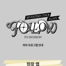 💎빛나라캐럿💎 SEVENTEEN TOUR &#39;FOLLOW&#39; AGAIN TO INCHEON 오프라인 현장 달글 이미지