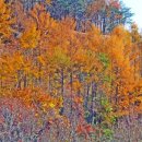 부석모텔 이미지