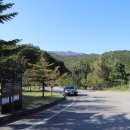 DMZ평화의길 33코스 3부 : 송강쉼터, 우리 좋은 슬픈 날 이미지