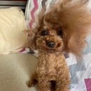 (주)에이티조명 | 驛馬煞 過多少女