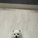늘빛나