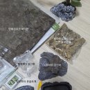 에버리움 이미지