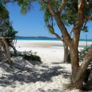 하얀천국 이미지