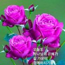 ✝️신이 우리에게 주신 선물'' #️⃣인생을 실패 하게 하는원인들" 이미지