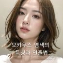 수현프로헤어