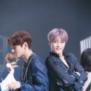 고미사 이미지
