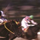 상조축산 이미지