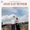 김용빈농장 | 논산 딸기축제 2026 가수 라인업 일정 주차꿀팁 기본정보 다녀온 후기